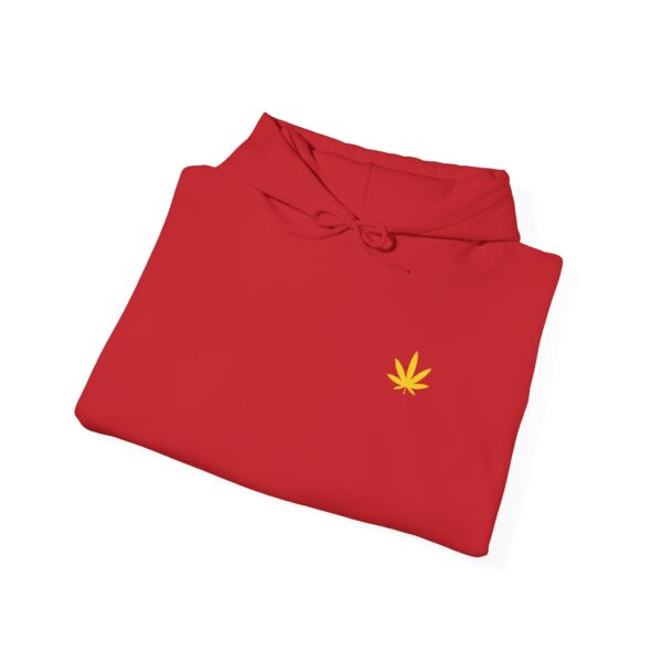 Pot Leaf Rasta Hoodie - Image 2
