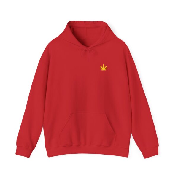 Pot Leaf Rasta Hoodie