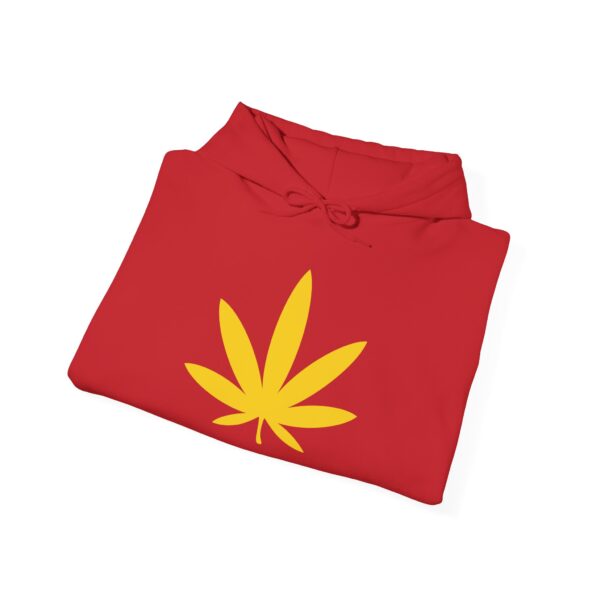 Pot Leaf Rasta Hoodie - Image 2