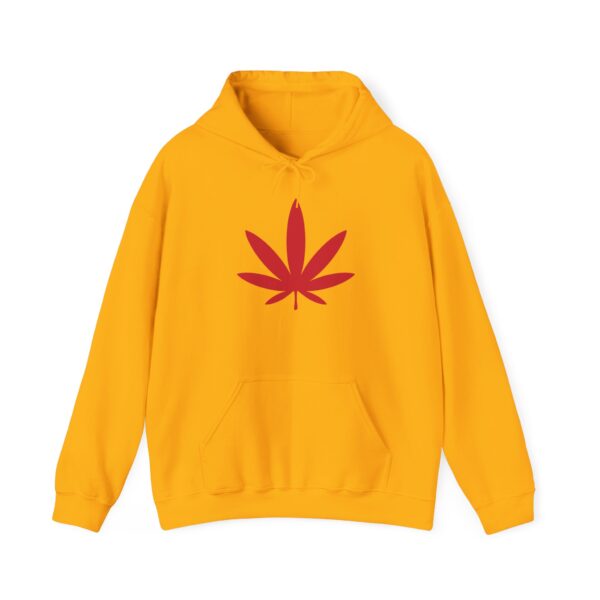 Rasta Pot Leaf Hoodie