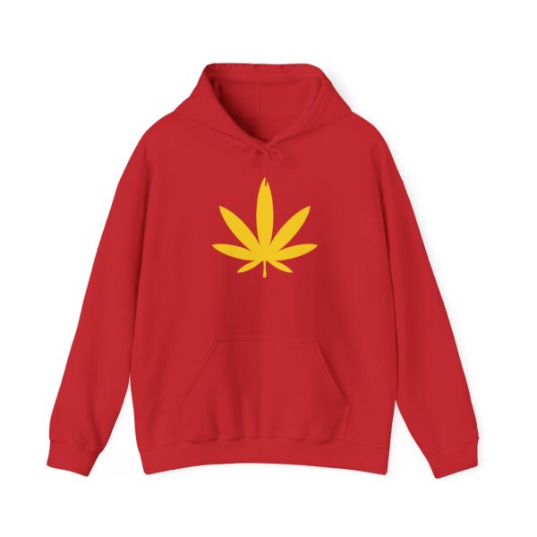 Pot Leaf Rasta Hoodie