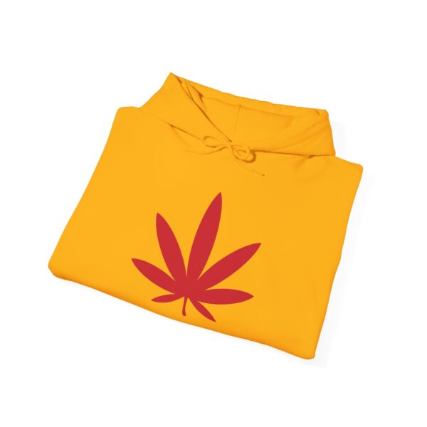 Rasta Pot Leaf Hoodie - Image 2