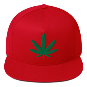 Rasta Weed Snapback Hat