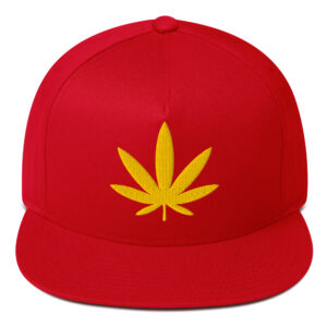 Rasta Weed Snapback Hat